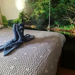 Safe House Bed & Breakfast